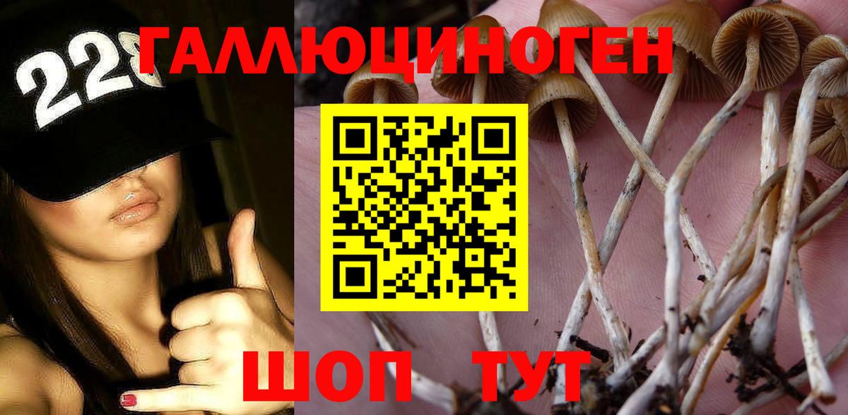 Галлюциногенные грибы мухоморы Ставрополь