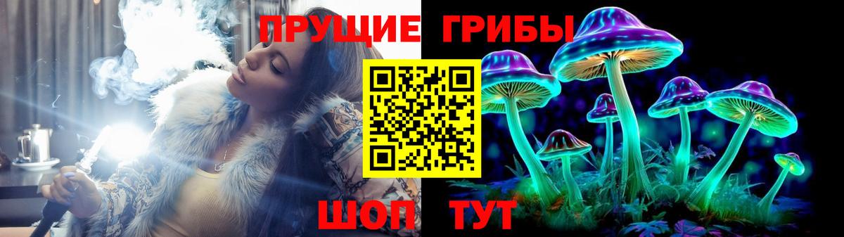 Галлюциногенные грибы мухоморы  Псилоцибиновые грибы мицелий  Ставрополь  цена   Вход с VPN 